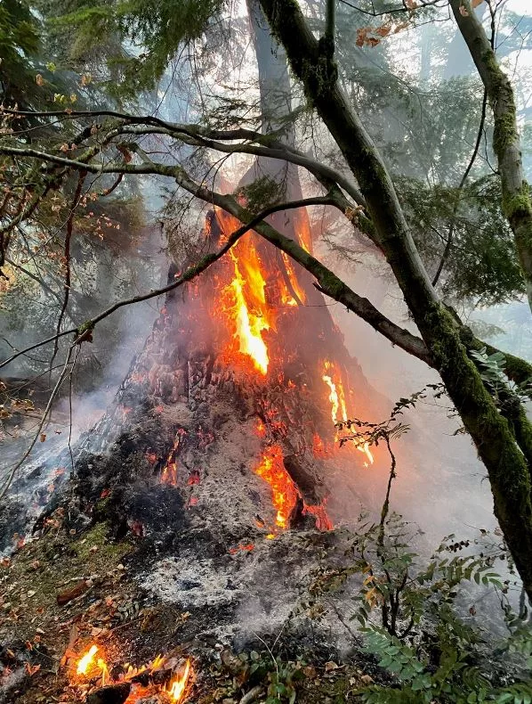 Updated: Snoqualmie Fire Department on the Scene of a Slow-Moving Brush Fire, No Structures Threatened