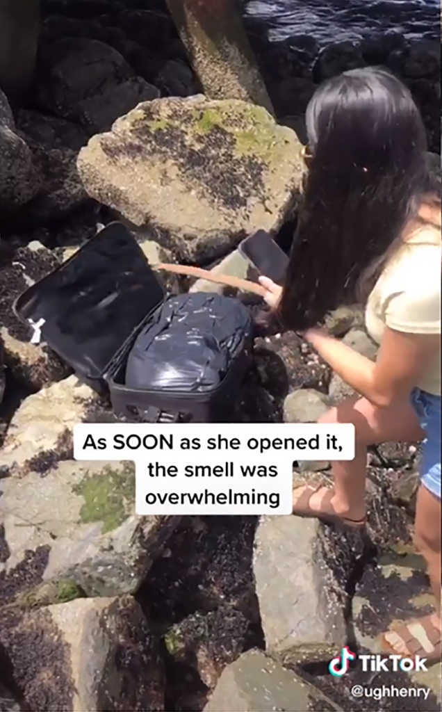 Teens shooting TikTok videos on Alki Beach in West Seattle in June 2020 discovered suitcases containing the victims' body parts. 